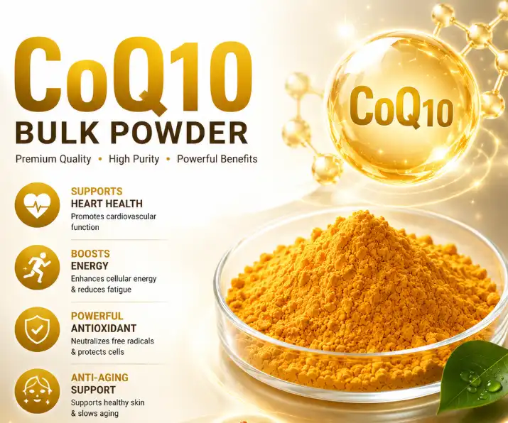 Unmatched Quality in Global Markets: Best Coenzyme Q10 Extract Powder from China